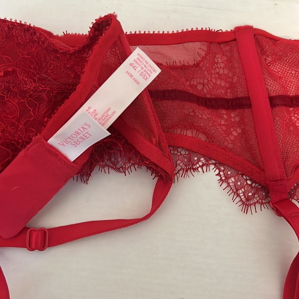 NWOT Bra and Garter belt - Picture 6 of 7